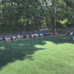 Plank contest - I was not the last one to give up!